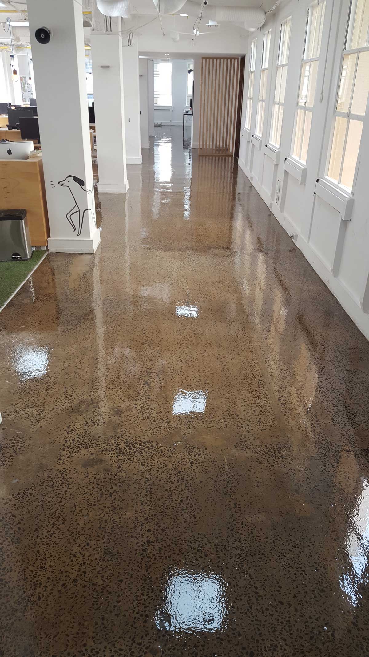 epoxy paint for cement floors